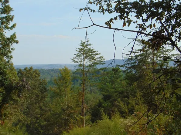 155 Cameron Rd, Decatur, TN 37322