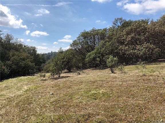 5th image of 2988 Harvest Dr