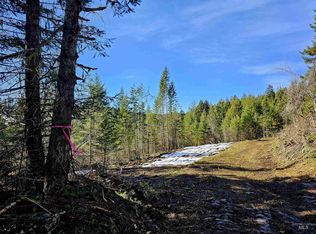 Tbd Freeman Creek Rd, Lenore, ID 83541