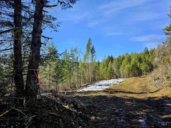 Tbd Freeman Creek Rd, Lenore, ID 83541