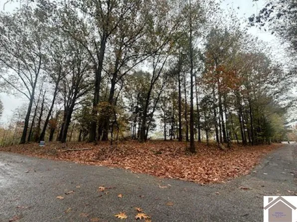 132/133 Honeysuckle Ln, Cadiz, KY 42211