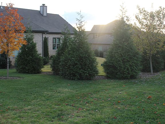 Private Backyard