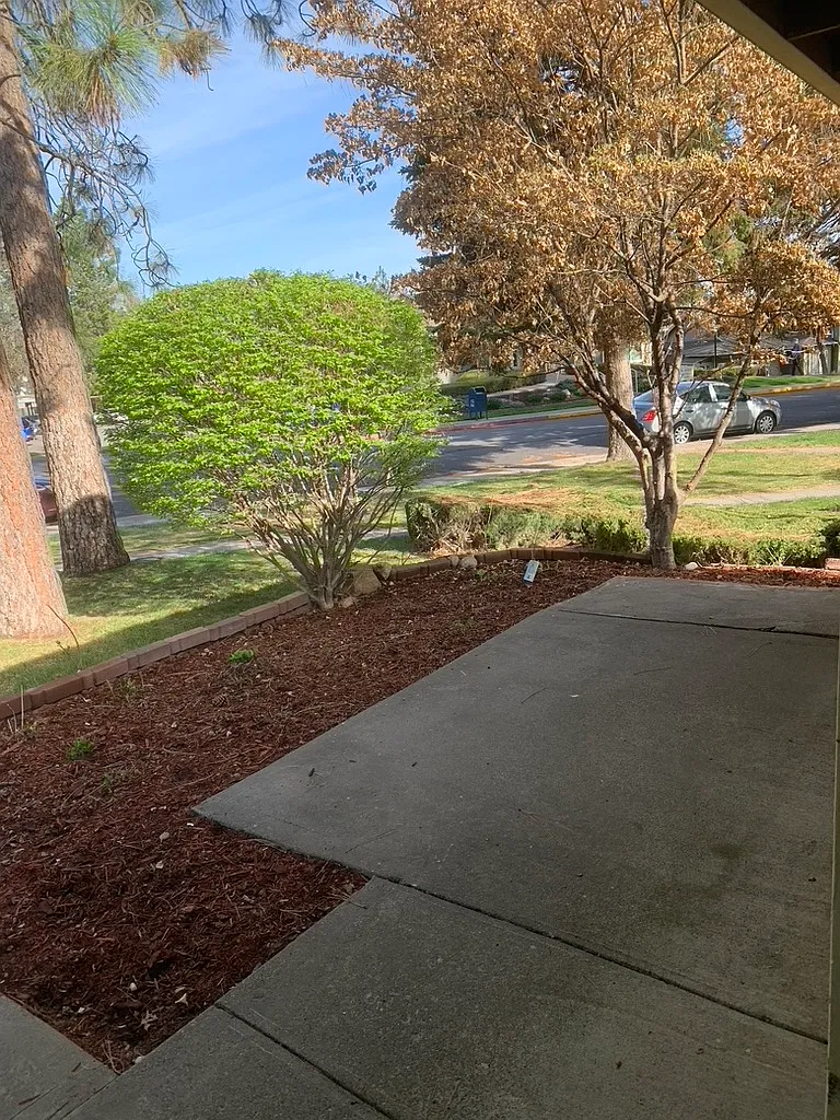 2 bed, 805 sqft, $1,600 — Photo 2