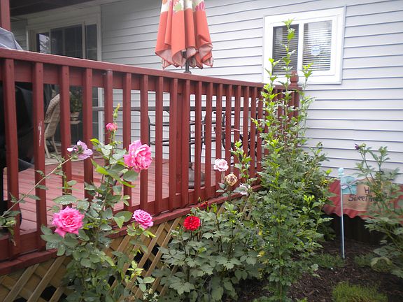 3rd image of 26 Fountain Lake Dr