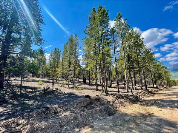 834 Cedar Dr, Twin Lakes, CO 81251