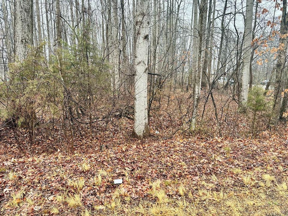2nd image of 461 Locust Dr
