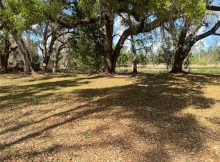 State Route 471, Webster, FL 33597