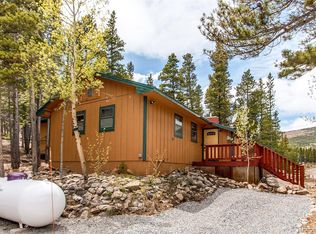 1071 Silver Creek Rd, Idaho Springs, CO 80452