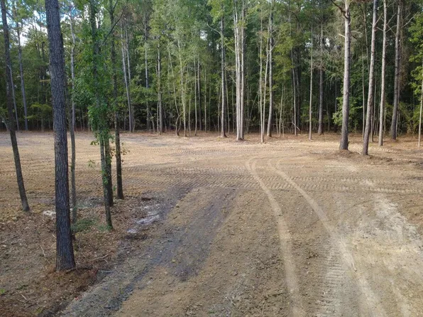 0 Gum Branch Rd, Saint George, SC 29477