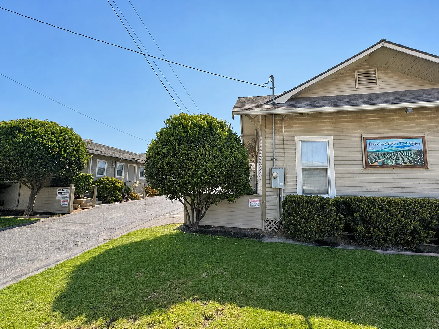 154olive — Photo 2