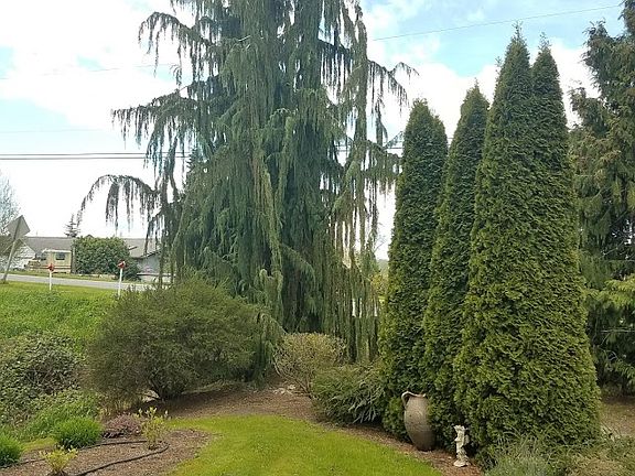 front yard to the west
