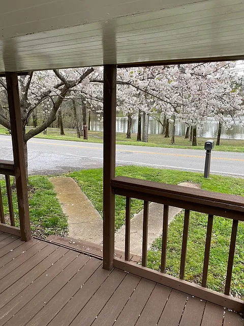 3 bed, 1400 sqft, $1,500 — Photo 2