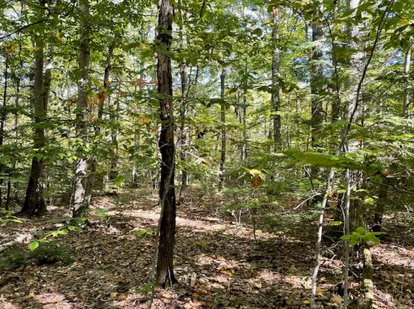 0 Route 123, Sharon, NH 03458