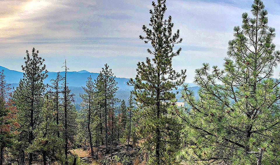 1st image of 991 Jaspers Cabin Ln
