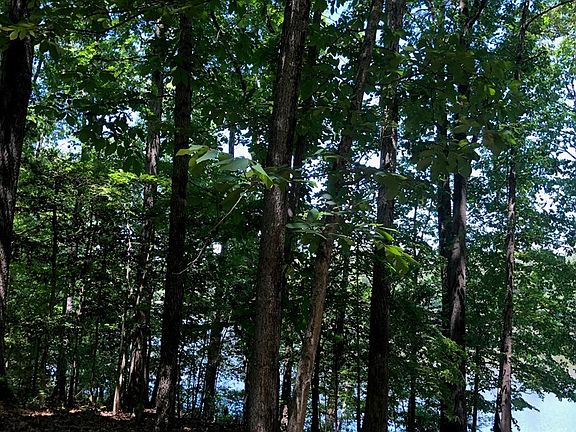 4th image of 10 Roanoke Bnd