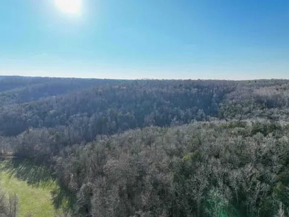 3rd image of 0 Davis Hollow Rd