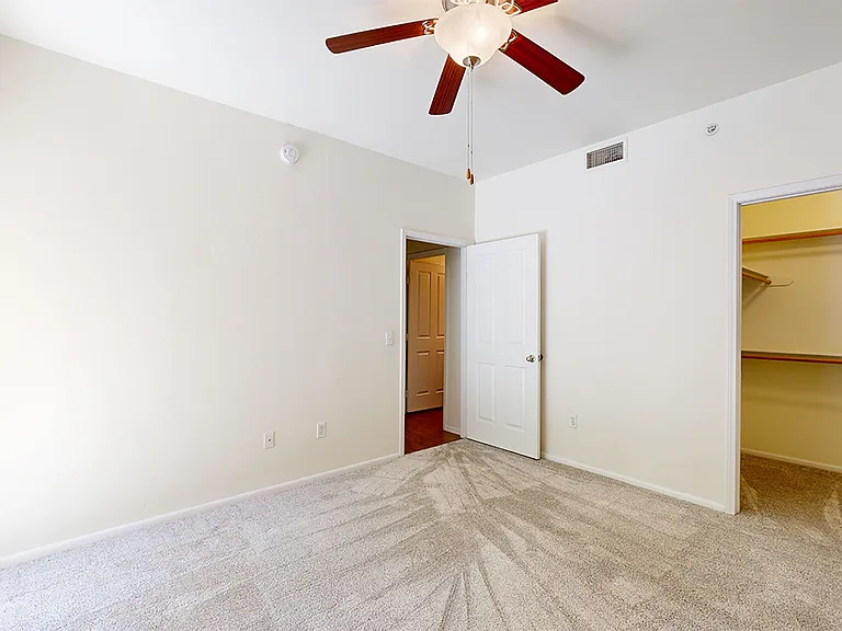 Spacious apartment bedroom with large closet and plush carpet flooring.