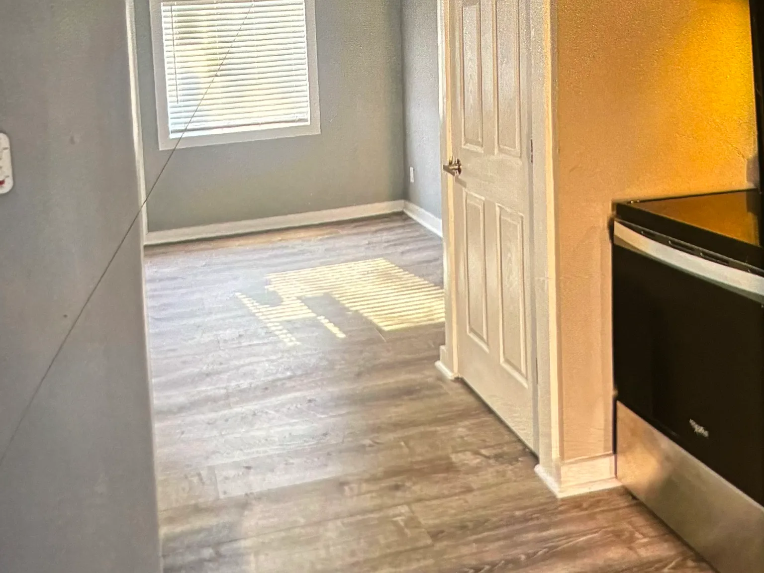 Studio, 350 sqft, $995 — Photo 4
