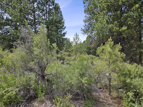 0 Pine Ridge Loop Lot 7, Chiloquin, OR 97624