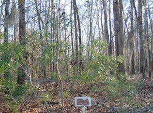 26 & 27 Parklin Ln, Elloree, SC 29047