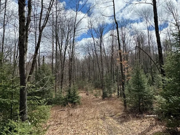 0 Chipmunk Ln #T3, Pelican Lake, WI 54463