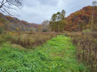 Robins Fork Rd, Renick, WV 24966