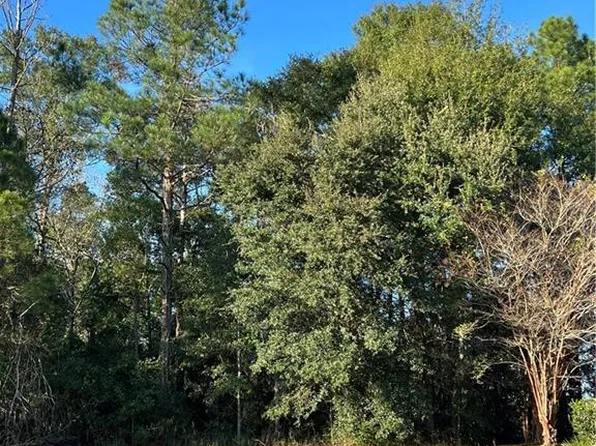 0 Browning Place Ct, Mobile, AL 36608