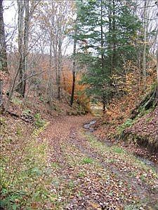 2nd image of 285 County Highway 7