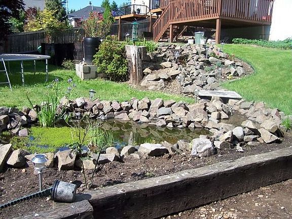Beautiful backyard landscaping