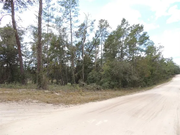 14590 SE 8th St #1, Williston, FL 32696