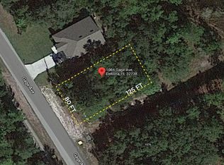 1084 Gage Ave, Deltona, FL 32738