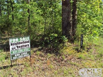 2365 Old Highway 13, Hurricane Mills, TN, 37078