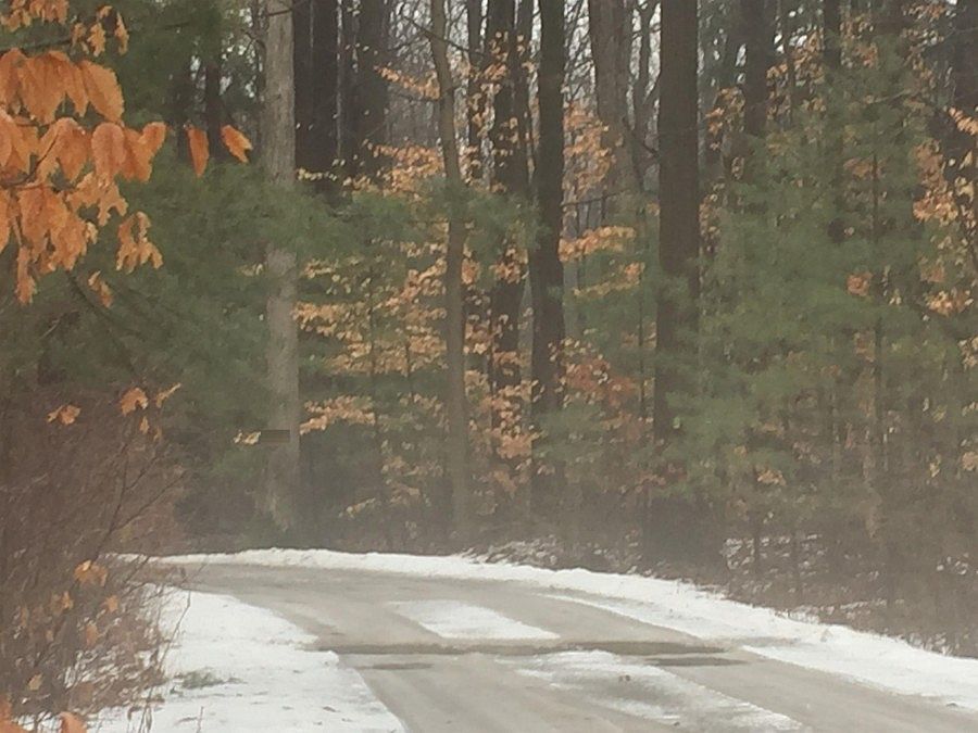 2nd image of 3810 Abbottsford Rd
