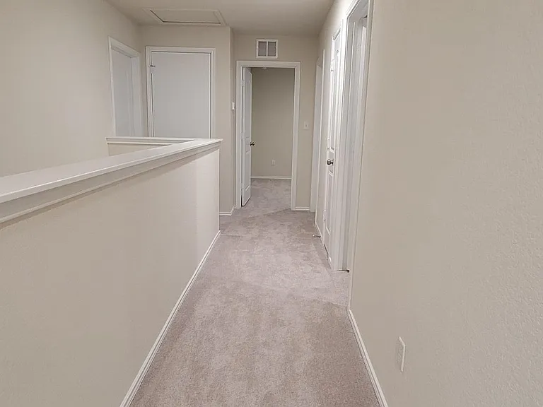 509 Black Alder St — Photo 18