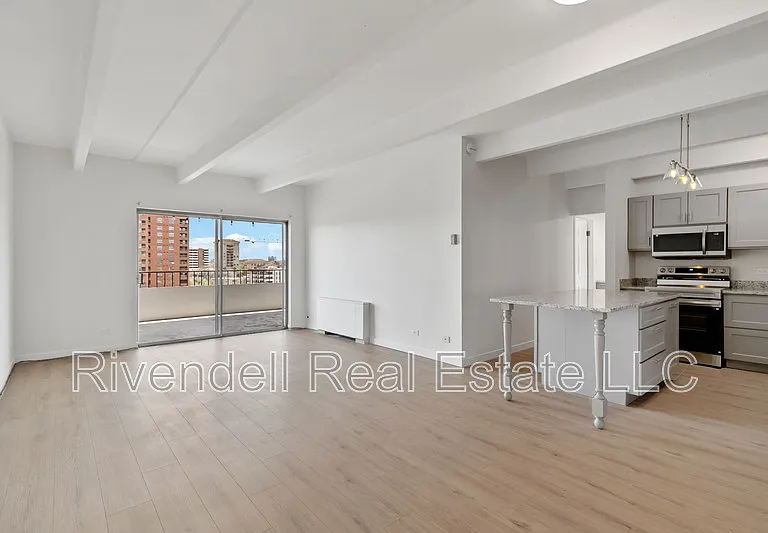 130 N Pearl St #1002 — Photo 5