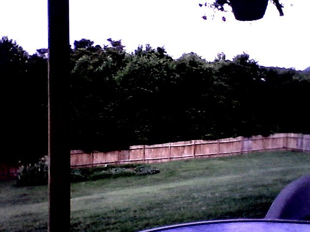 view from covered back porch