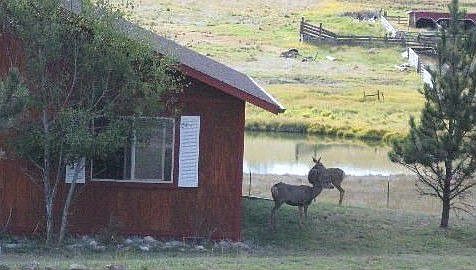 Frequent Visitors