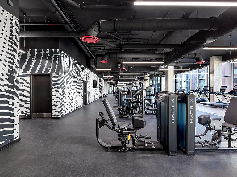 Gym