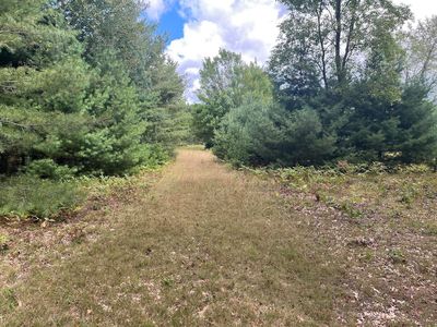 0 Plant Rd, Whittemore, MI, 48770