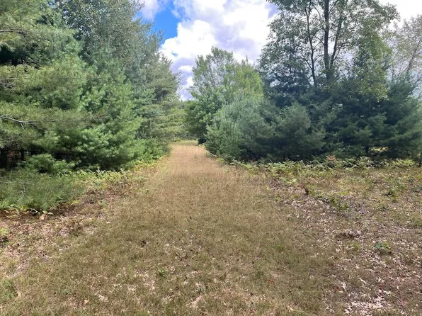 0 Plant Rd, Whittemore, MI 48770