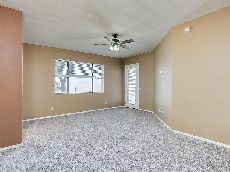8477 S Camino Bengala — Photo 16