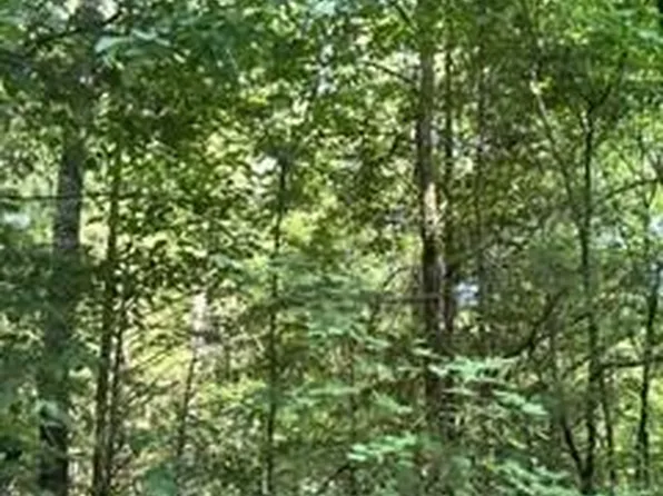 Ricks Rd, Sharon, SC 29742