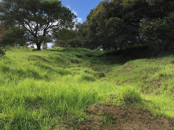 (undisclosed Address), San Rafael, CA 94901