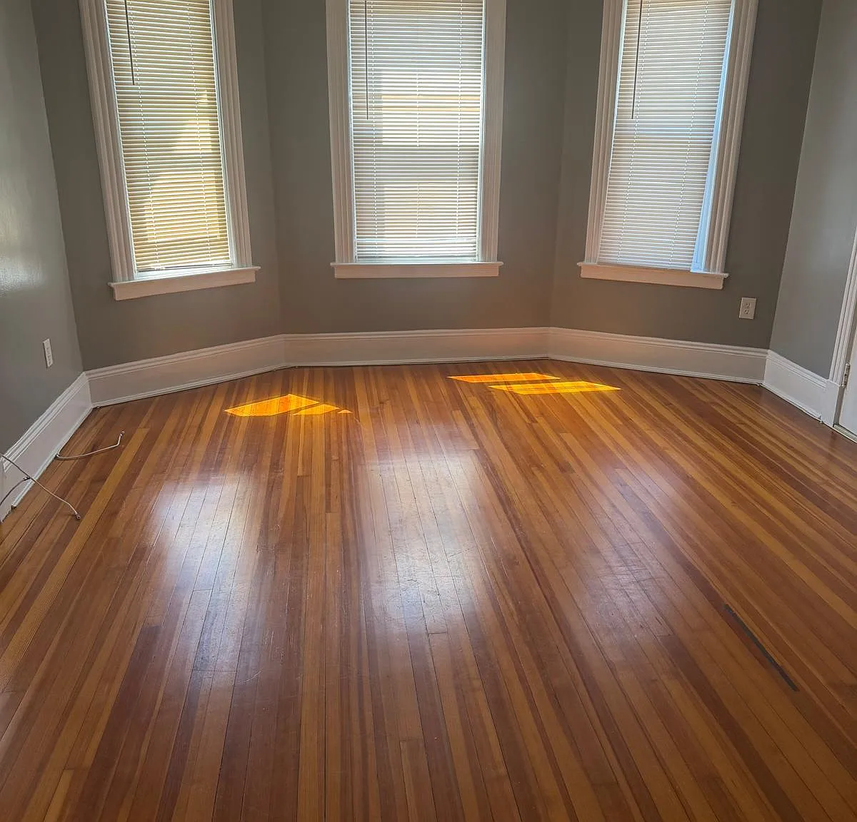 2 bed, $1,510 — Photo 2