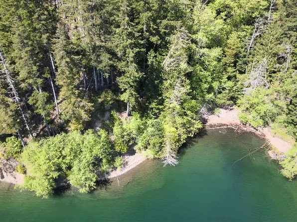 650 W Cushman Ridge Drive, Hoodsport, WA 98548