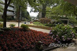 Beautiful Interior Courtyard & Gardens