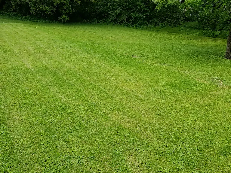 Shared use by both units of the backyard