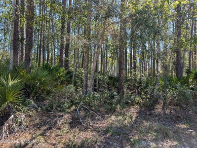 LOT 37 DINES Avenue, Interlachen, FL, 32148