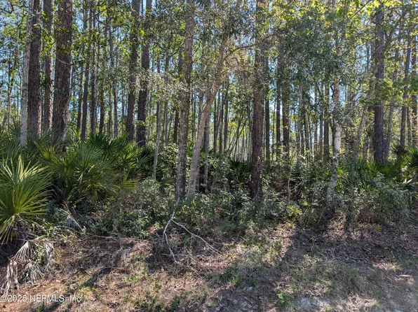 LOT 37 DINES Avenue, Interlachen, FL 32148