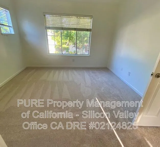 374 Pismo Ter — Photo 15